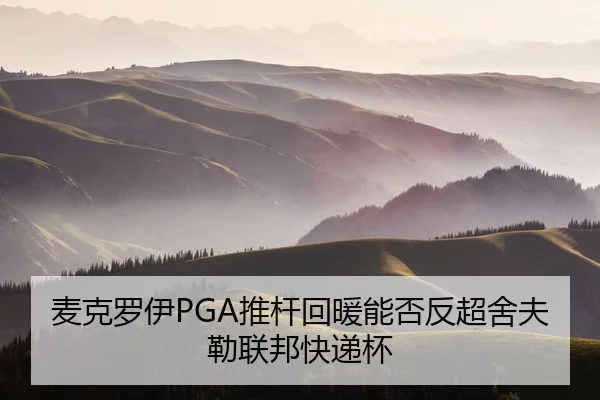 mai-ke-luo-yi-tui-gan-hui-nuan-neng-fou-fan-chao-she-fu-lei-lian-bang-kuai-di-bei-2-210.jpg