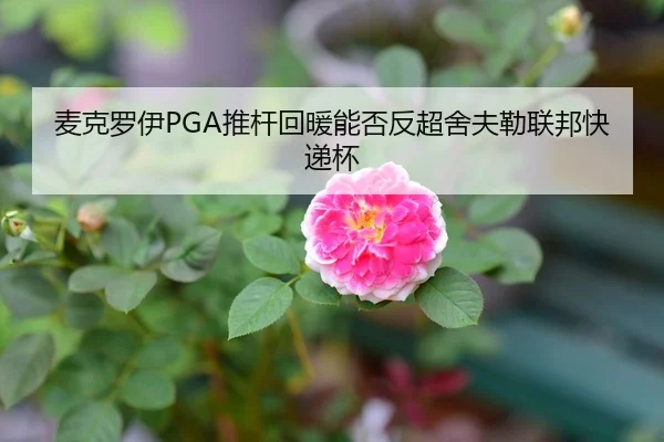 麦克罗伊PGA推杆回暖能否反超舍夫勒联邦快递杯