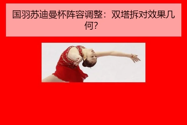 guo-yu-su-di-man-bei-zhen-rong-tiao-zheng-shuang-ta-chai-dui-xiao-guo-ji-he-3-616.jpg