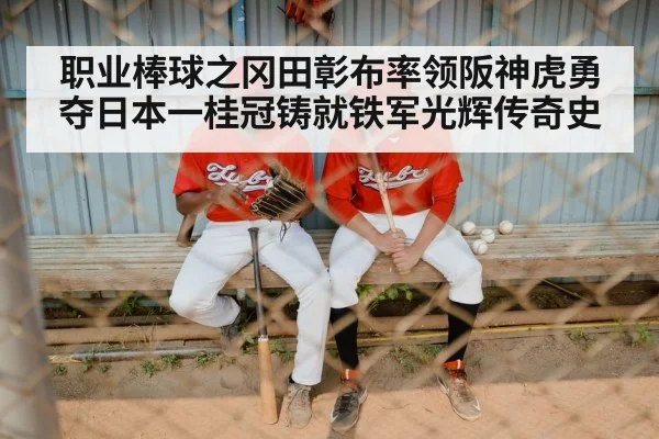 职业棒球之冈田彰布率领阪神虎勇夺日本一桂冠铸就铁军光辉传奇史
